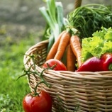 Basket filled with nutritious foods