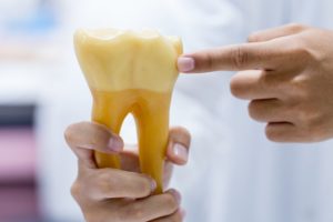 dentist pointing to the enamel on a model of a tooth