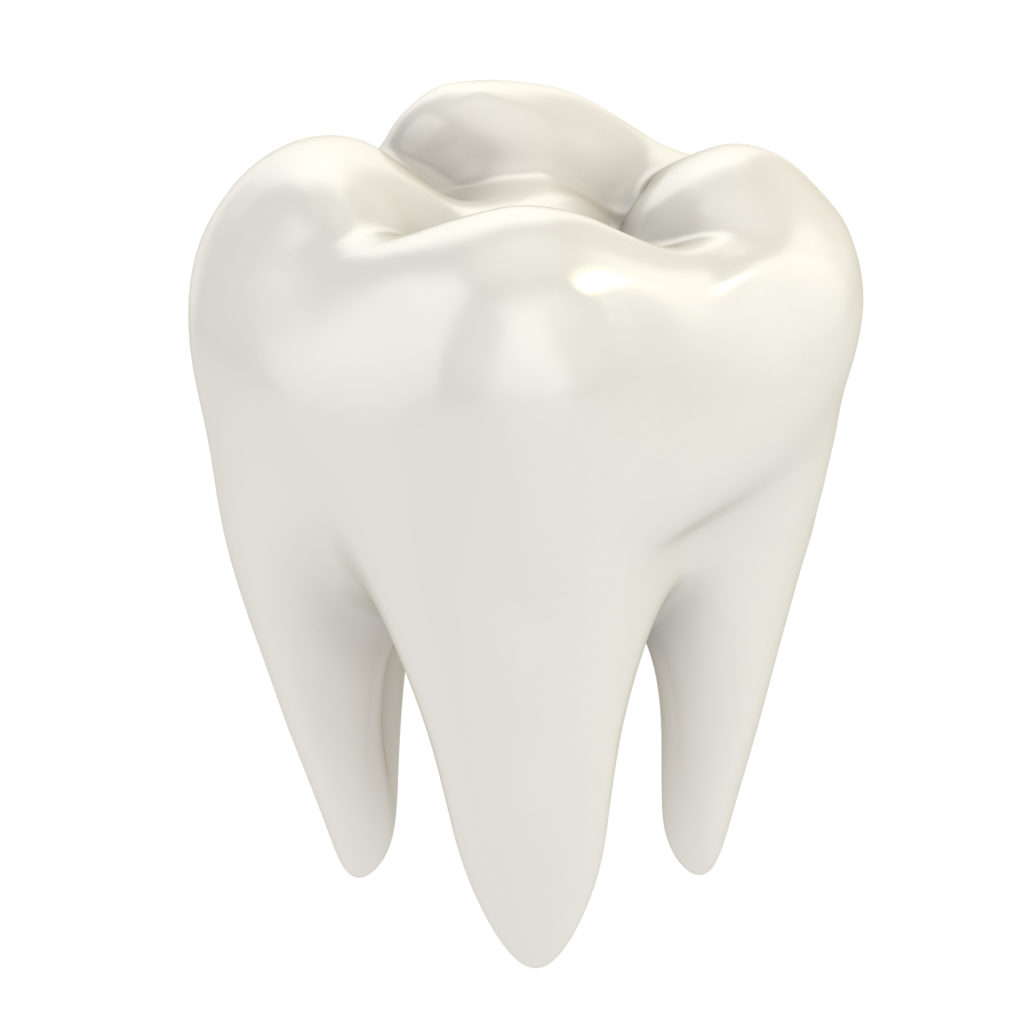 3D model of a lost tooth